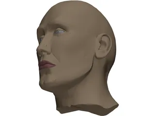Head Male 3D Model preview