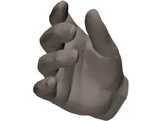 Hand Male 3D Model preview