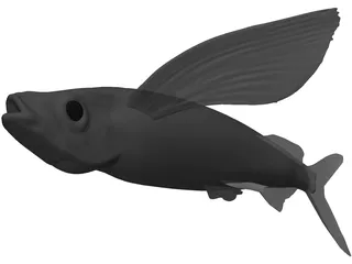 Parexocoetioes 3D Model preview