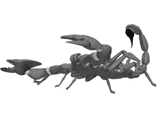 Scorpion (Arachnid Scorpionida) 3D Model preview