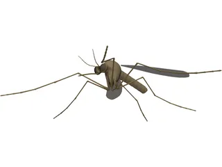 Mosquito 3D Model preview