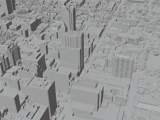 Raleigh City, USA (2023) 3D Model preview