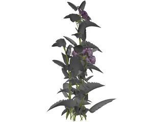 Plant 3D Model preview