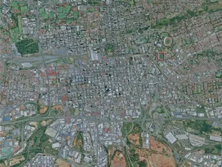 Johannesburg City, South Africa (2024) 3D Model preview