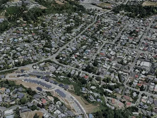 Nelson City, New Zealand (2022) 3D Model preview