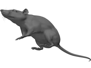 Rat House 3D Model preview