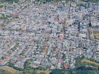 Wellington City, New Zealand (2025) 3D Model preview