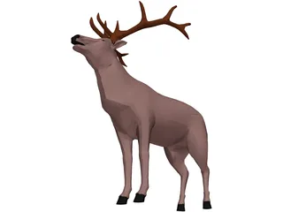 Deer 3D Model preview
