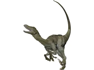 Raptor 3D Model preview