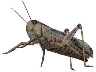 Grasshopper 3D Model preview