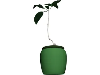 Plant 3D Model preview