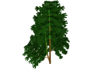 Juniper Bush 3D Model preview