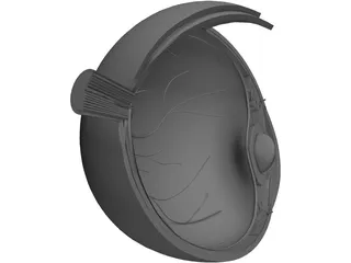 Human Eye Cross Section 3D Model preview