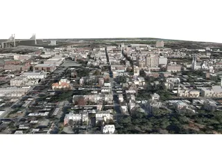 Savannah City 3D Model preview
