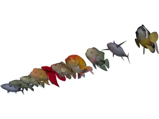Fish Collection 3D Model preview