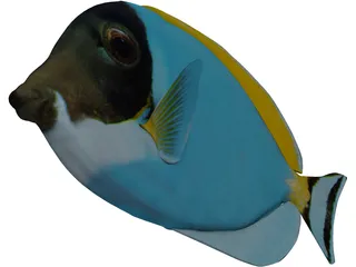 Amblyrhyncotes 3D Model preview