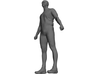 Human 3D Model preview