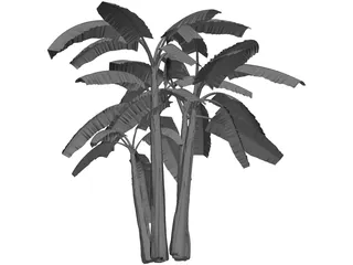 Brasil Bananeira 3D Model preview