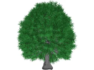 Tree 3D Model preview
