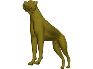 Dog Boxer 3D Model preview