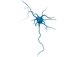 Neuron 3D Model preview
