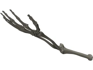 Hand 3D Model preview