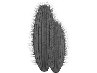 Cactus 3D Model preview
