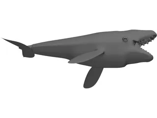 Whale 3D Model preview
