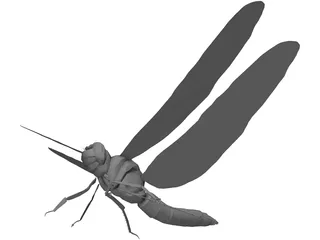 Dragon Fly 3D Model preview