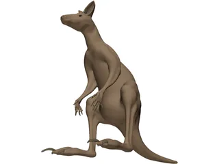 Kangaroo 3D Model preview