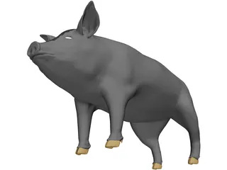 Pig 3D Model preview