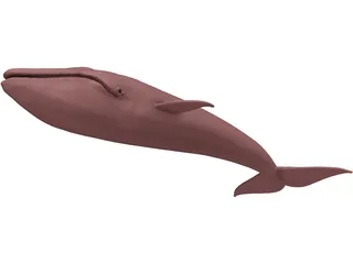 Whale Blue 3D Model preview