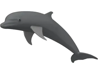 Dolphin Bottle-Nosed 3D Model preview