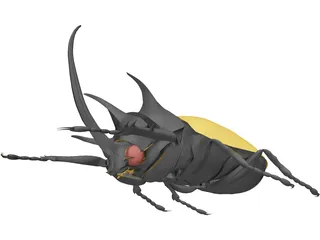 Eupatorus Gracilicornis 3D Model preview