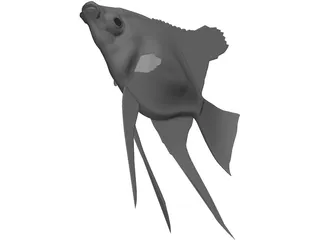 Pterophyum Scalare 3D Model preview