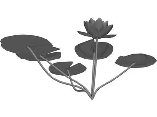 Lilly Water 3D Model preview