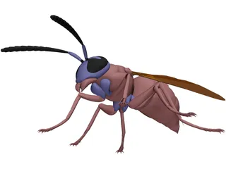 Wasp 3D Model preview