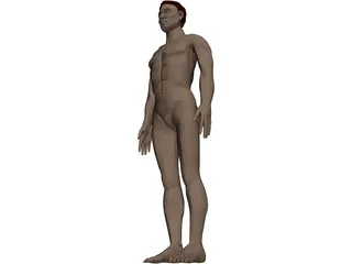 Man with Internal Organs 3D Model preview