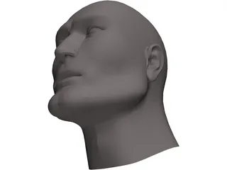 Head Male 3D Model preview