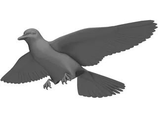 Dove 3D Model preview