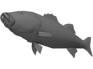 Fish 3D Model preview
