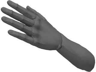 Hand Male 3D Model preview