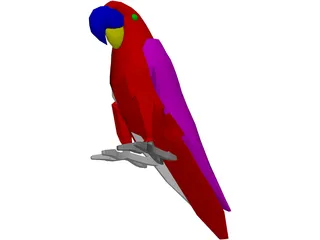 Macaw Hyacinth 3D Model preview