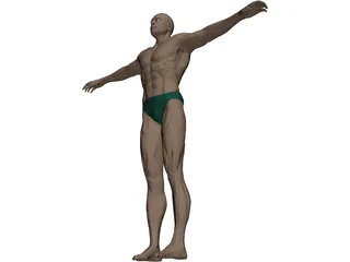 Swimmer Athlete 3D Model preview