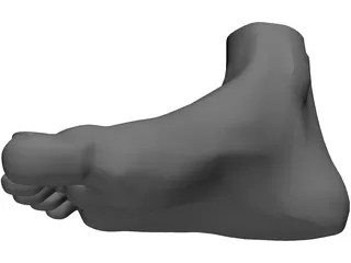 Foot 3D Model preview
