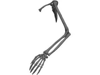 Arm Left 3D Model preview