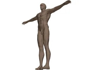 Man 3D Model preview