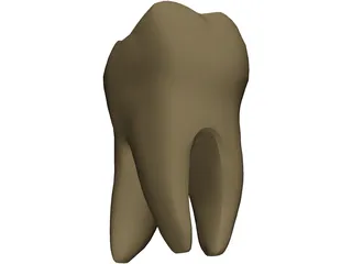 Molar 3D Model preview