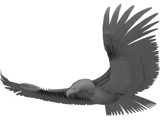 Eagle 3D Model preview