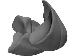 Lungs Human 3D Model preview